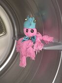 A photo of Phineas Wormthrice in real life. Finny is a doll made of pink yarn sectioned off into five bundles, with black button eyes, a light blue ribbon bowtie, and a matching light blue felt jester cap with golden bells on it. Ey are sitting in side a washing machine.