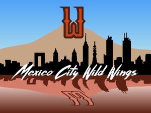 Wild-wings-city-scape.jpg