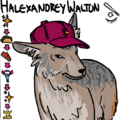 A digital drawing of Hex, a coyote with a Magic blaseball cap perched on top of her head. To the left there are emojis of every team she has been on.