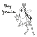 Shay numbers.png