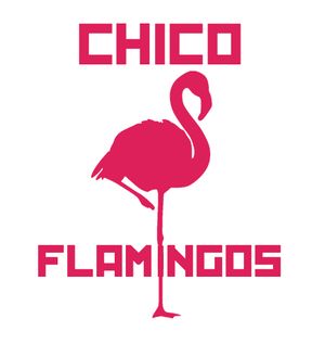 Chico Flamingos.jpg