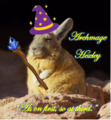 A photo of a rabbit that has been edited so that it appears they are holding a clipart staff and wearing a clipart hat. Text on the image reads "Archmage Hexley" and "As on first, so at third." in yellow script.