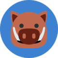 Teamicon boar.png