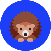 Hedgehogs logo