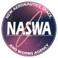 NASWA Logo.png