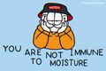 You Are Not Immune To Moisture.jpg