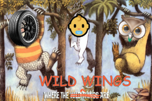 Where the wild wings are.png