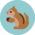 Teamicon squirrels.png