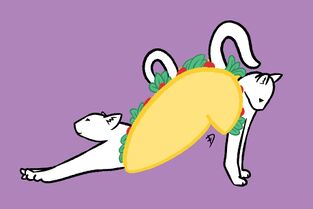 Tacocat is a taco with the front part of a white cat sticking out of either end, and two tails sticking out of the top of the taco. In this picture, each cat is doing a different cat stretch.