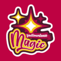Yell magic logo by coblin.png