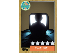 Season 9 York Silk.png